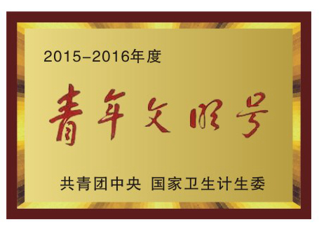 2015-2016年度青年文明號